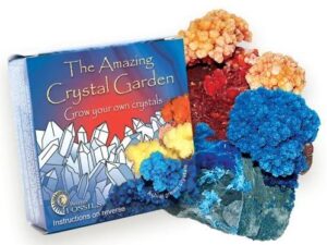 The Amazing Crystal Garden: Grow your own crystals