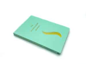 The Mindfulness Journal