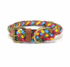 Georgie Paws - Tonto Collar - Multicolour