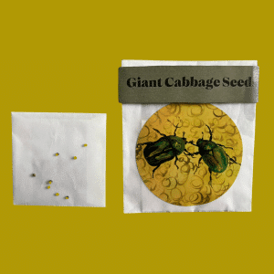Georg Wilson - 'The Earth Exhales' - Giant Cabbage Seeds
