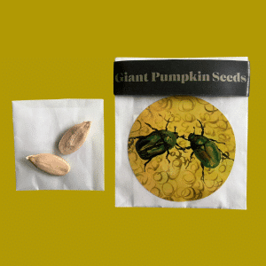 Georg Wilson - 'The Earth Exhales' - Giant Pumpkin Seeds