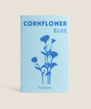 Cornflower Blue Seeds