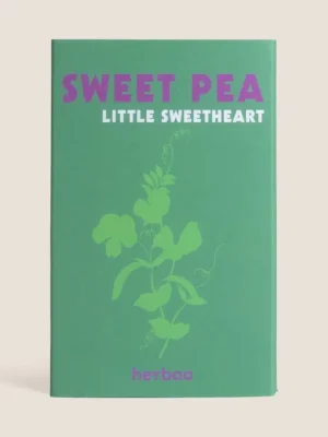 Sweet Pea 'Little Sweetheart' Seeds