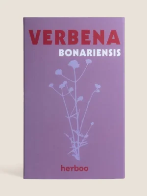 Verbena Bonariensis Seeds