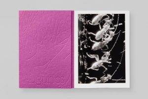 Auguries - Marguerite Humeau